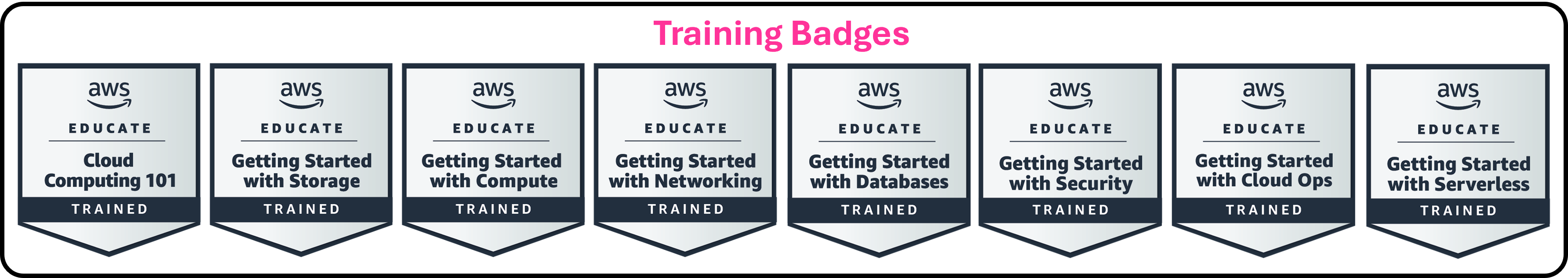 AWS Educate training badges covering cloud computing, storage, compute, networking, databases, cloud operations, security, and serverless computing
