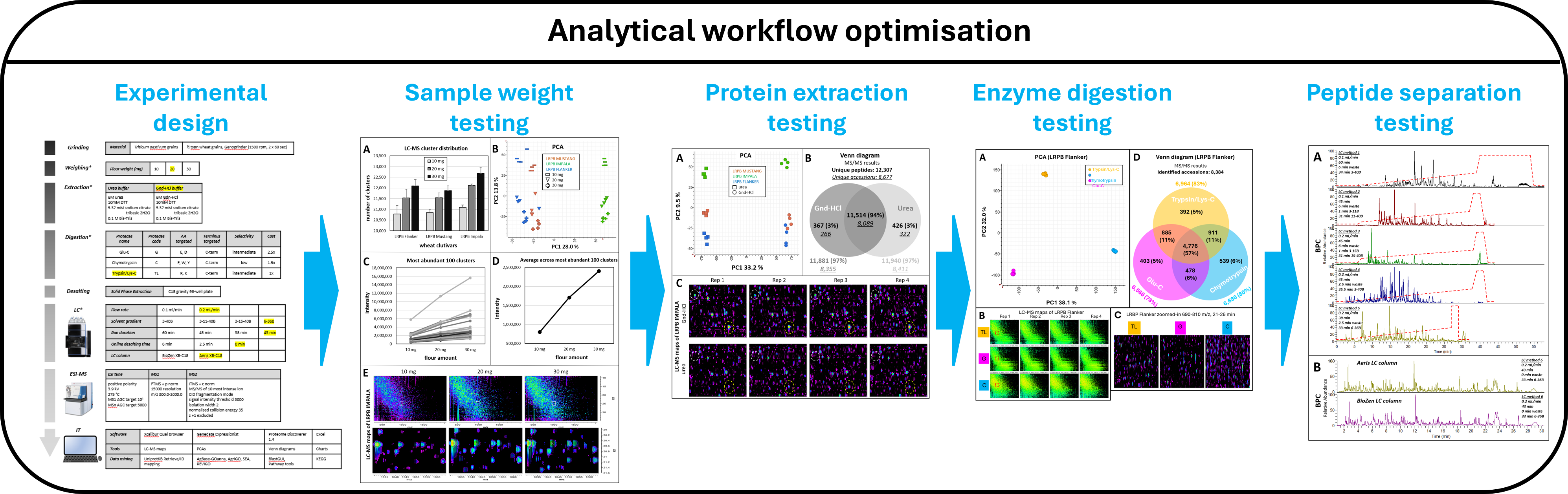 Workflow developped for the large-scale protein profiling of thousands of wheat grains
