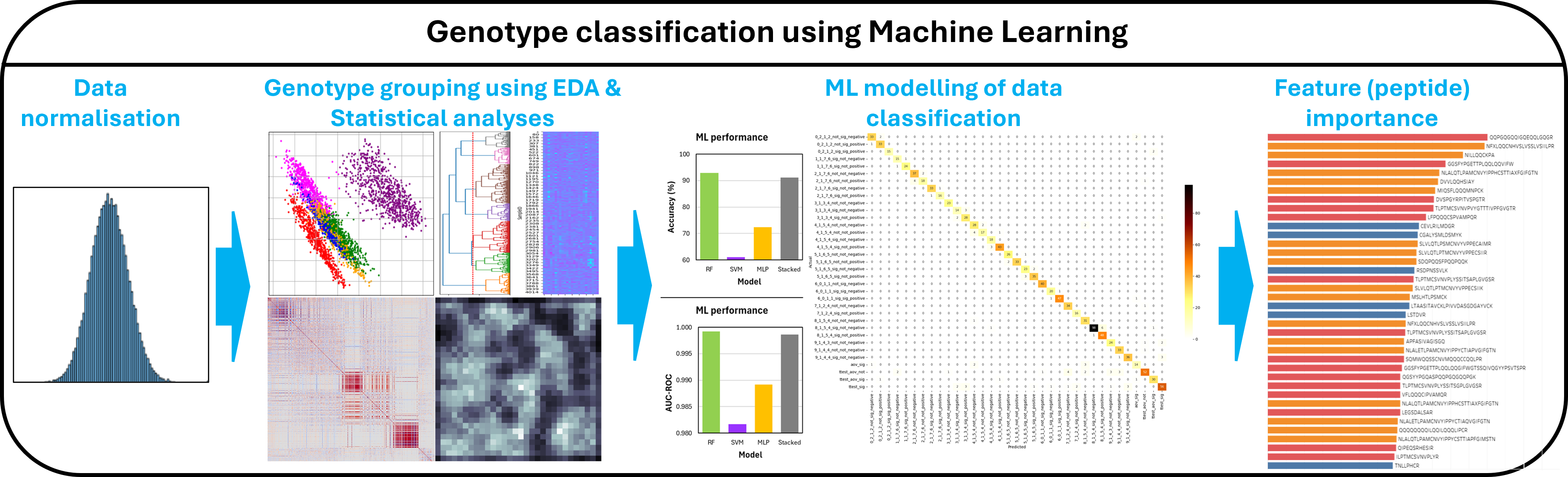 Large-scale wheat proteomics workflow covering the genotype classification using statistical analyses and machine learning