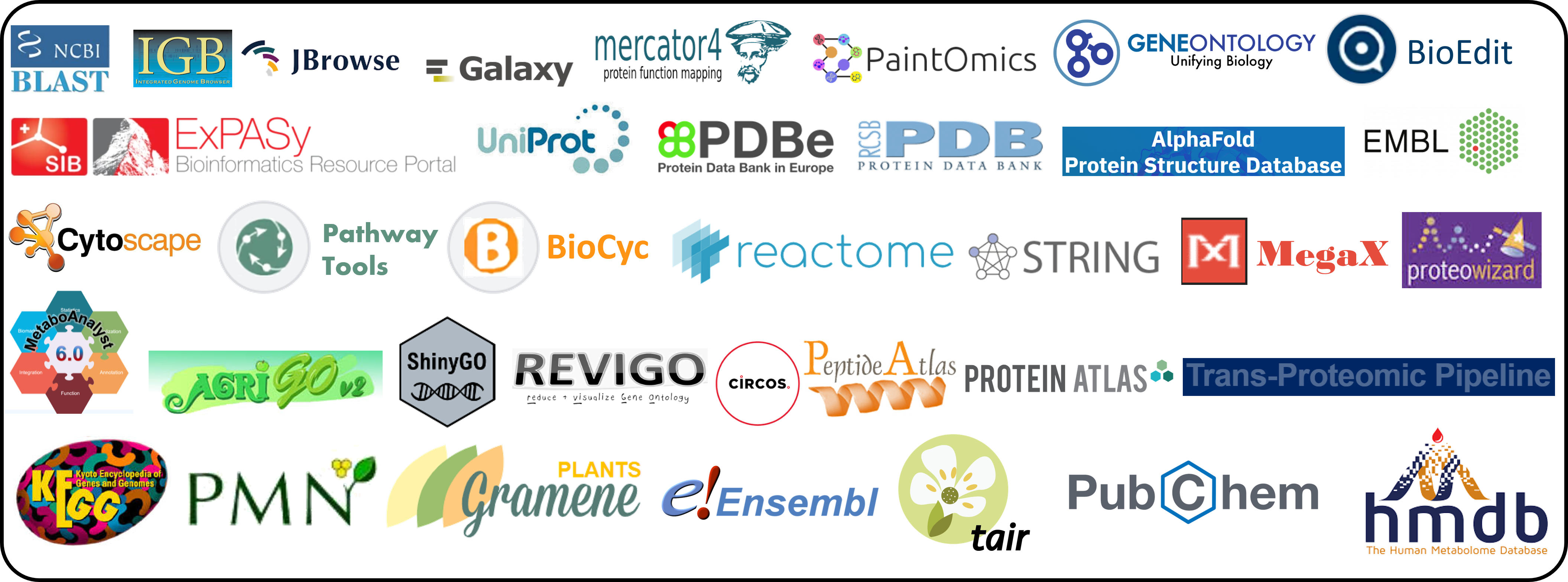 bioinformatics tools overview