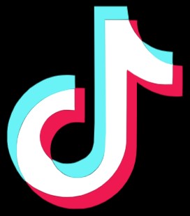 TikTok Icon