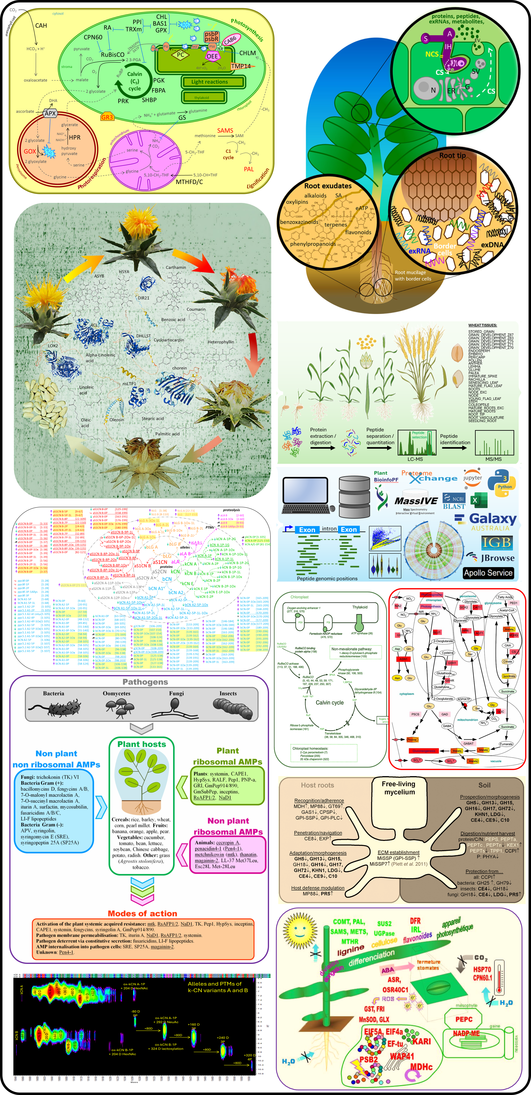 Systems biology and post-genomics projects spanning proteomics, metabolomics, plant science, dairy science, molecular biology, pathways, and integrated omics analysis
