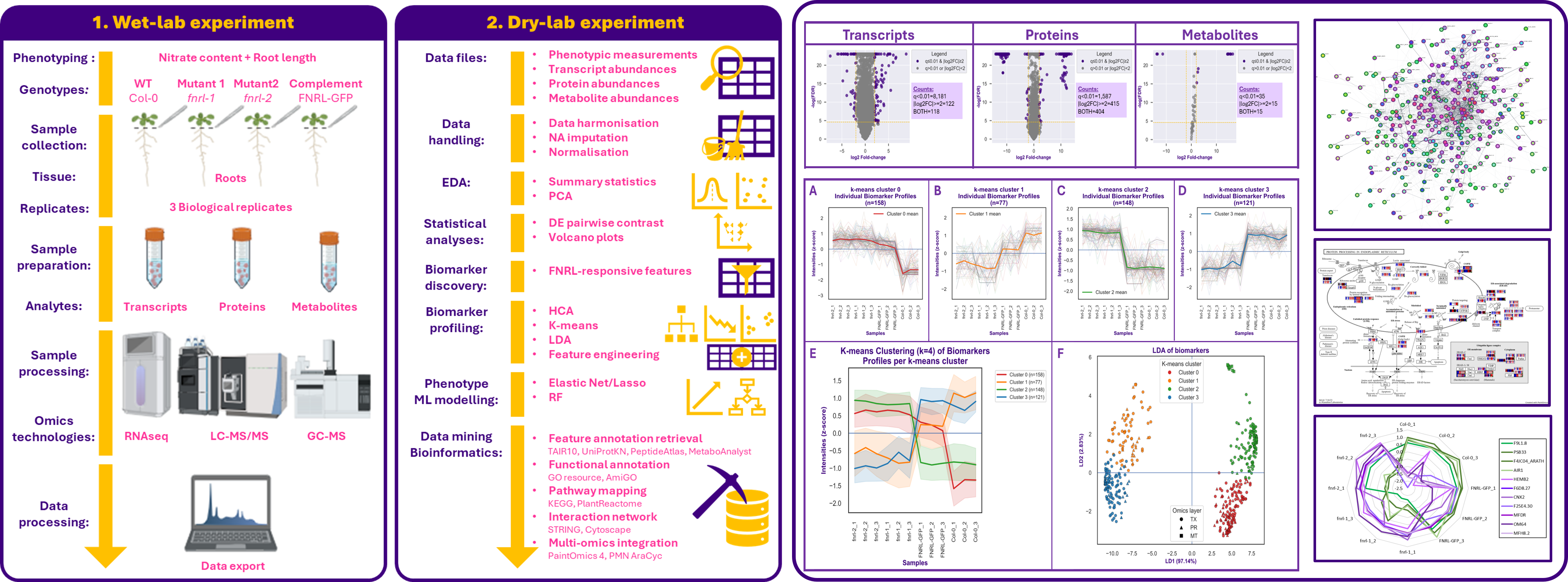 FNRL study overview