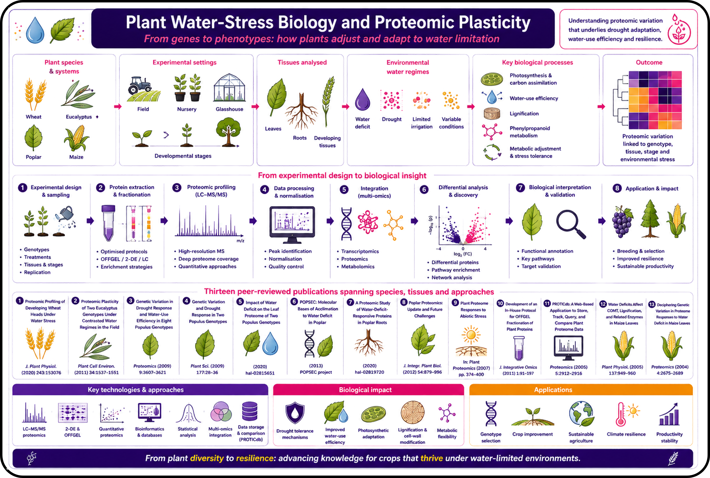 graphical summary of plant response to water stress research studies