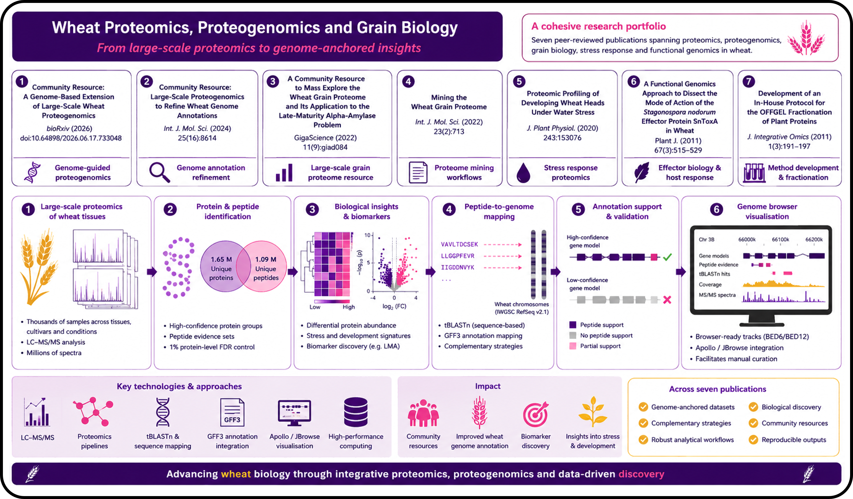 graphical summary of wheat research studies
