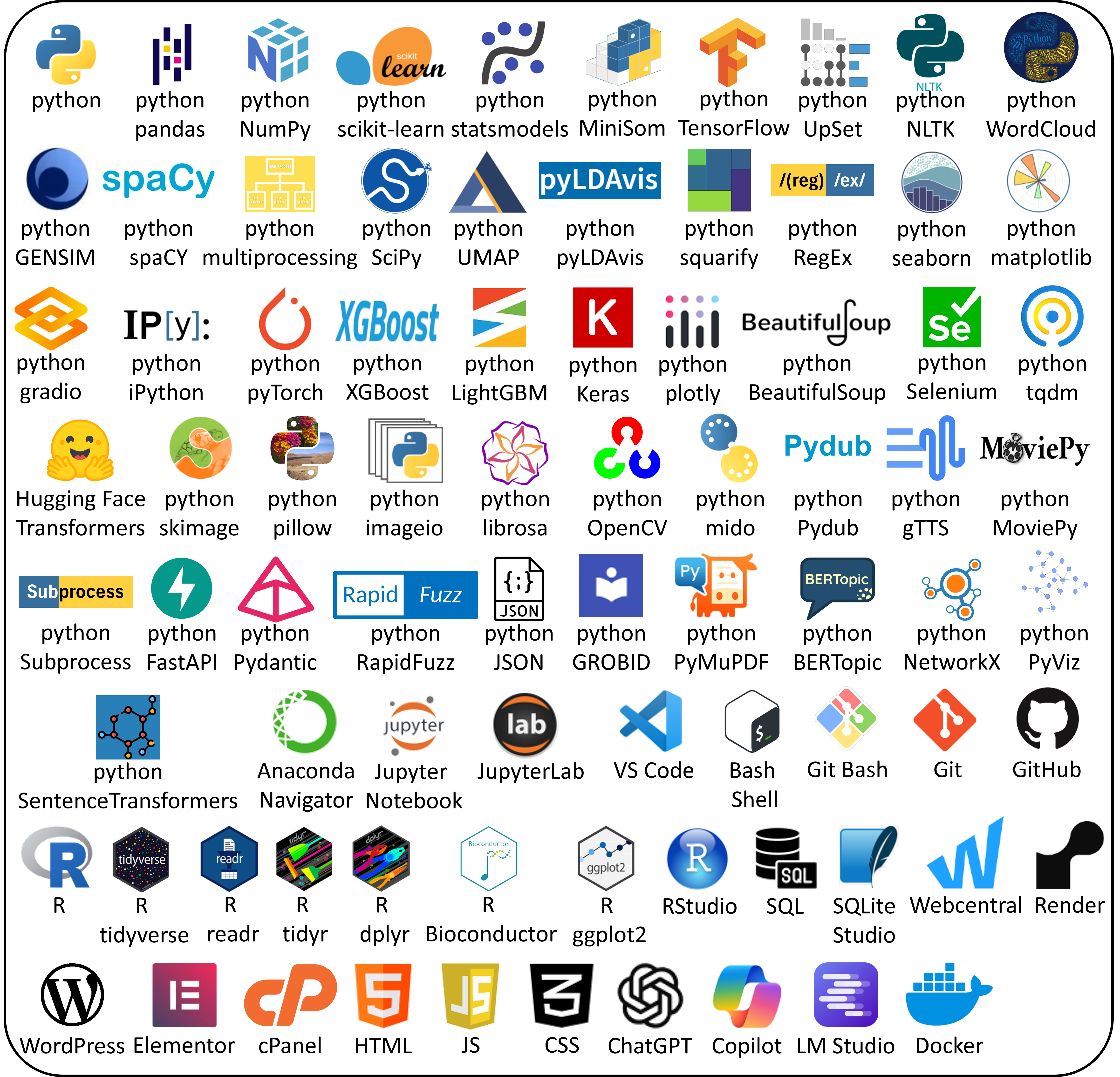 Programming languages, Python and R libraries, development environments, databases, web technologies, hosting platforms, version-control tools, and artificial intelligence applications used in analytical and development projects