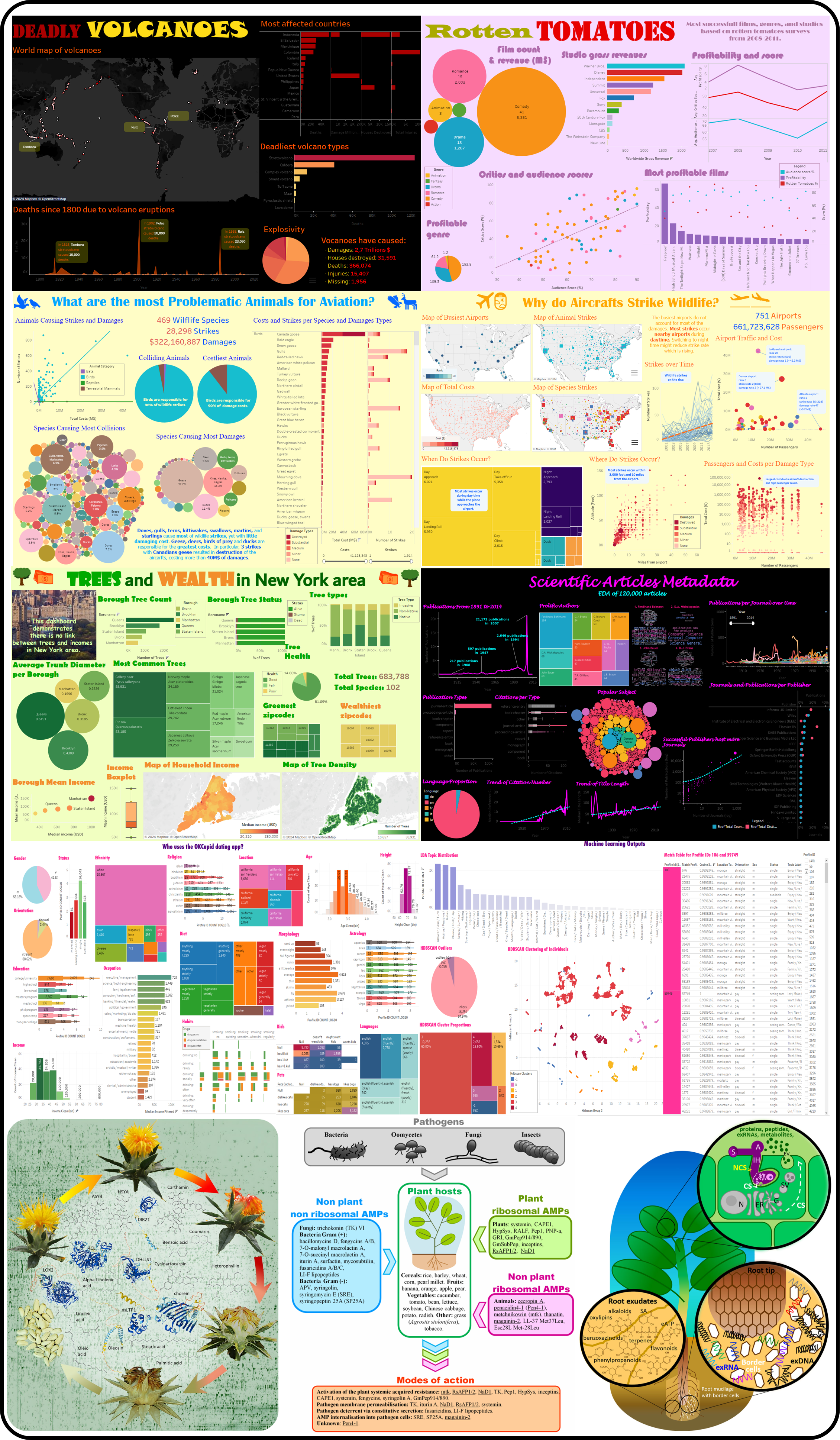 Examples of dashboards, scientific figures, biological models, publication graphics, and visual storytelling outputs created for data analysis and scientific communication